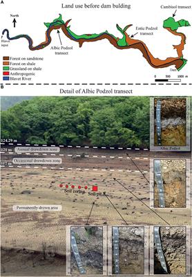 Soils Drowned in Water Impoundments: A New Frontier